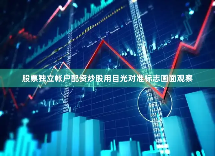 股票独立帐户配资炒股用目光对准标志画面观察