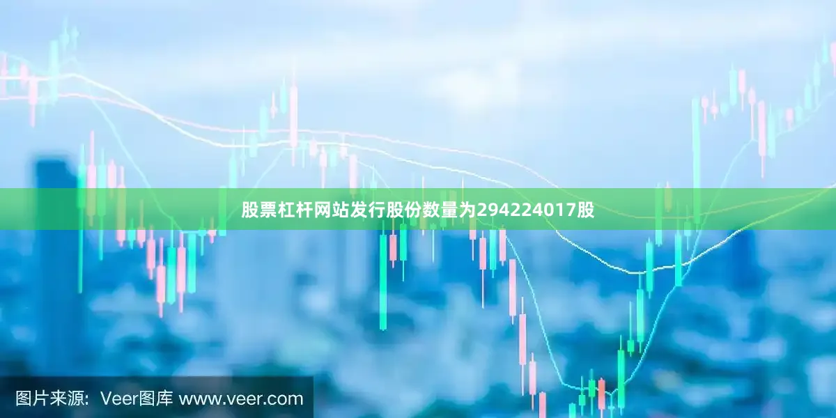 股票杠杆网站发行股份数量为294224017股