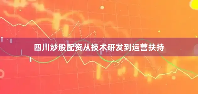 四川炒股配资从技术研发到运营扶持